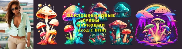 таблы Болотное