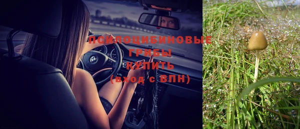 прущая мука Бронницы
